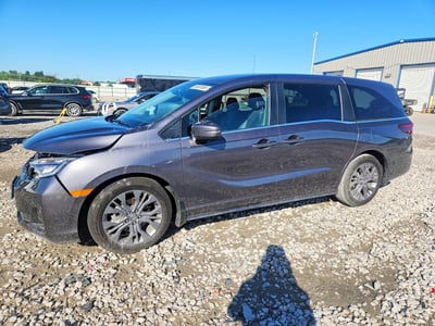 5FNRL6H82TB****** 2026 Honda Odyssey