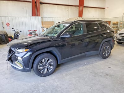 KM8JBCD12RU****** 2024 Hyundai Tucson