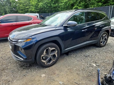 KM8JFDD27RU****** 2024 Hyundai Tucson Plug-in Hybrid