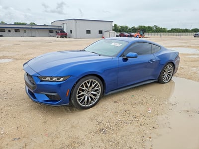 1FA6P8TH8R5****** 2024 Ford Mustang