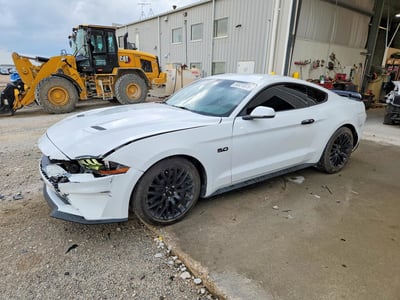 1FA6P8CF8K5****** 2019 Ford Mustang
