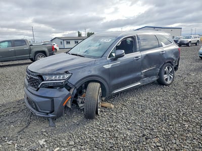 KNDRHDLG0P5****** 2023 Kia Sorento