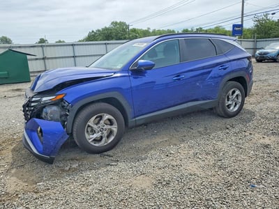 5NMJBCDE3RH****** 2024 Hyundai Tucson
