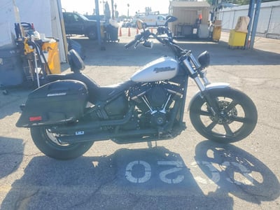 2020 Harley-Davidson Street Bob