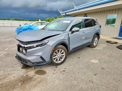 7FARS4H74RE****** 2024 Honda CR-V