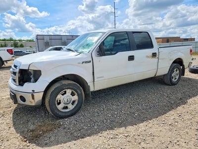 1FTFW1ET2DK****** 2013 Ford F-150