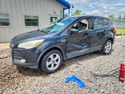 1FMCU0GXXEU****** 2014 Ford Escape