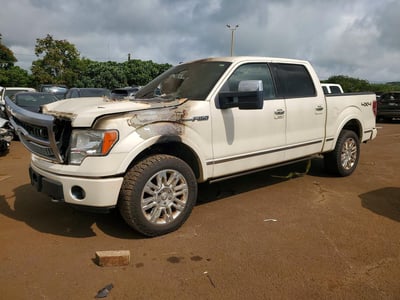 1FTPW14VX9F****** 2009 Ford F-150