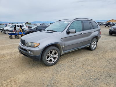 5UXFA13566L****** 2006 BMW X5
