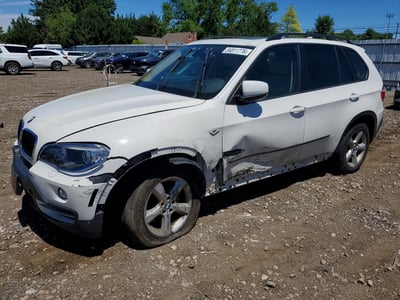 5UXFE43599L****** 2009 BMW X5