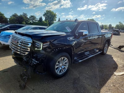 1GTUUGE82SZ****** 2025 GMC Sierra