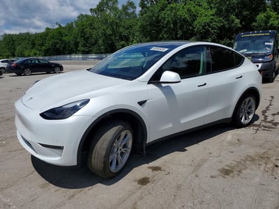 7SAYGDEE7PF****** 2023 Tesla Model Y
