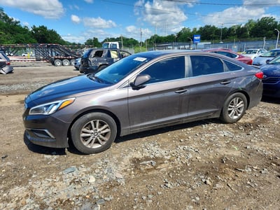 5NPE24AF6GH****** 2016 Hyundai Sonata