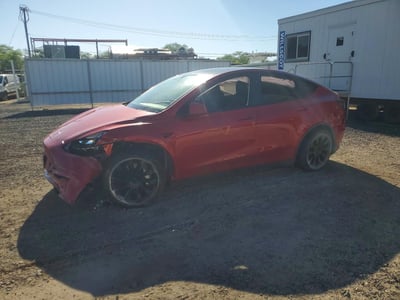 7SAYGDEE8PF****** 2023 Tesla Model Y
