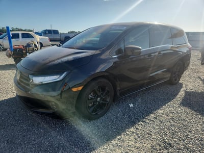 5FNRL6H76PB****** 2023 Honda Odyssey
