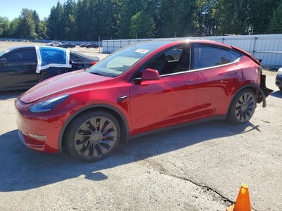 7SAYGDEF0SF****** 2025 Tesla Model Y