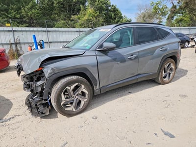 5NMJF3DE0RH****** 2024 Hyundai Tucson