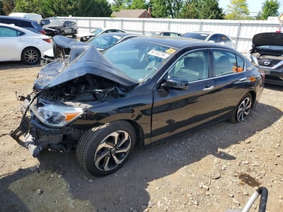 1HGCR2F91GA****** 2016 Honda Accord