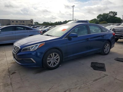 5NPE24AF6GH****** 2016 Hyundai Sonata