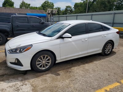 5NPE24AF8KH****** 2019 Hyundai Sonata