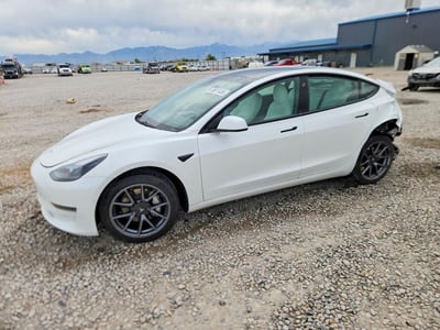 5YJ3E1EA8MF****** 2021 Tesla Model 3