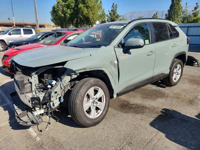 JTMP1RFV7KD****** 2019 Toyota RAV4