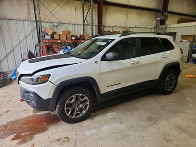 1C4PJMBX1LD****** 2020 Jeep Cherokee