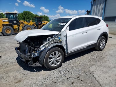 KM8J3CA45LU****** 2020 Hyundai Tucson