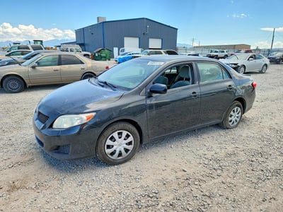 2T1BU4EEXAC****** 2010 Toyota Corolla