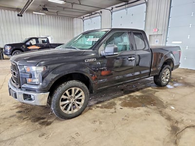 1FTFX1EF8FK****** 2015 Ford F-150