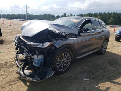 3PCAJ5BB2RF****** 2024 Infiniti QX50