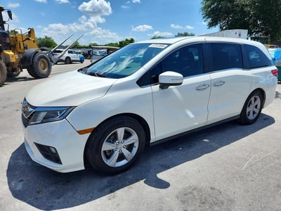 5FNRL6H70KB****** 2019 Honda Odyssey