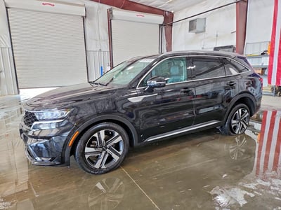 KNDRHDLG2P5****** 2023 Kia Sorento Hybrid