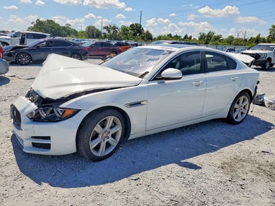 SAJAD4FX7KC****** 2019 Jaguar XE