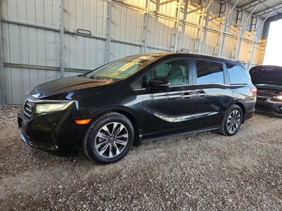 5FNRL6H73NB****** 2022 Honda Odyssey