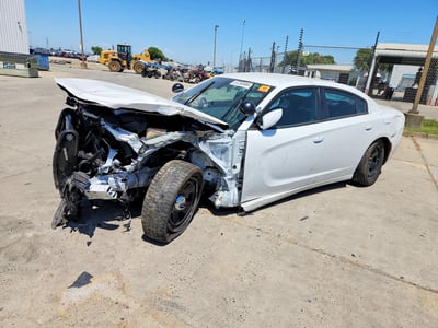 2C3CDXAT6MH****** 2021 Dodge POLICE