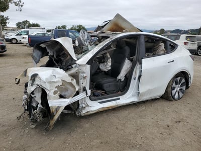 7SAYGAEE3PF****** 2023 Tesla Model Y