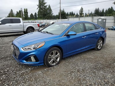 5NPE34AF9KH****** 2019 Hyundai Sonata