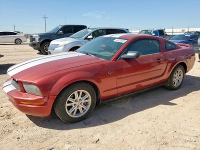 1ZVFT80N855****** 2005 Ford Mustang