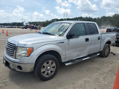 1FTEW1C8XAF****** 2010 Ford F-150
