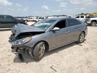 5NPE34AF0KH****** 2019 Hyundai Sonata