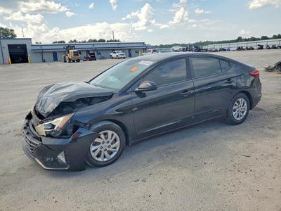 KMHD74LF8KU****** 2019 Hyundai Elantra