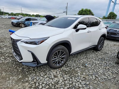 2025 Lexus NX 350