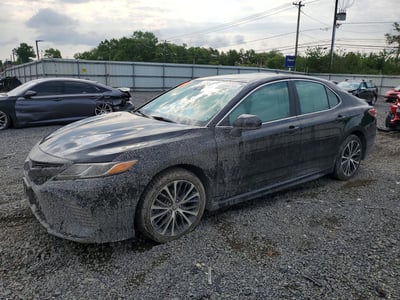 4T1B11HK3KU****** 2019 Toyota Camry