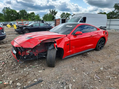 1FA6P8CF0K5****** 2019 Ford Mustang