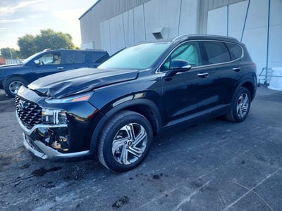 5NMS24AJ8PH****** 2023 Hyundai Santa Fe