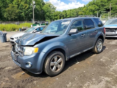1FMCU0D70AK****** 2010 Ford Escape