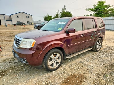 5FNYF4H50DB****** 2013 Honda Pilot