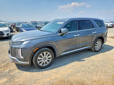 KM8R2DGE3RU****** 2024 Hyundai Palisade