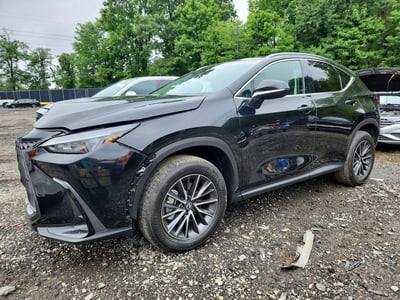 2026 Lexus NX